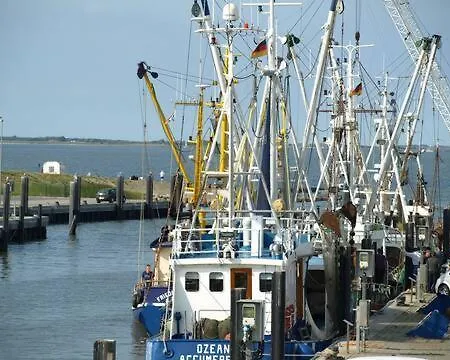 Nordsee An Der Kueste Mit Inselblick