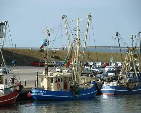 Nordsee An Der Kueste Mit Inselblick アパート ドルヌム